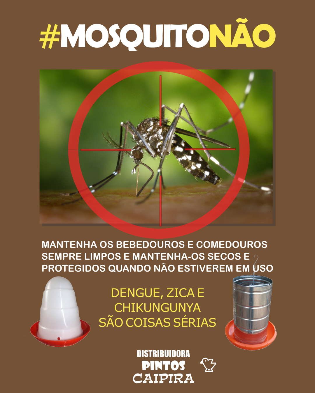 Imagem com um alvo apontando para um mosquito Aedes Aegipty