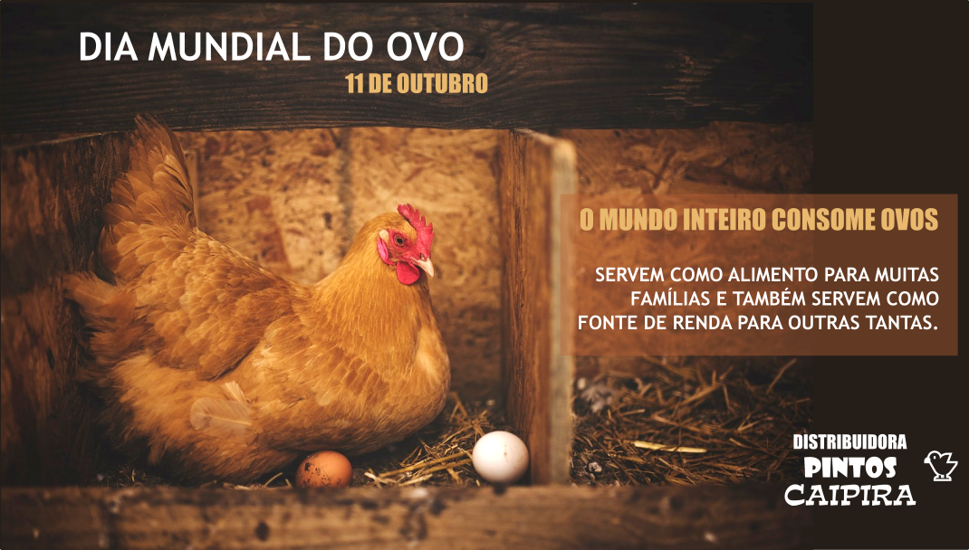 Dia Mundial do Ovo - Foto de uma galinha com dois ovos